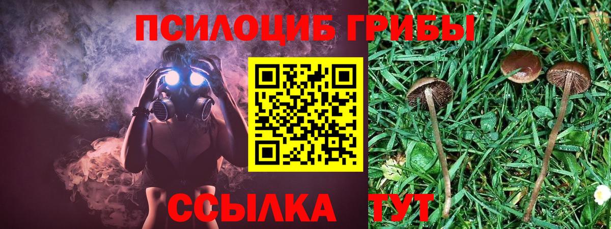Галлюциногенные грибы GOLDEN TEACHER  хочу   Знаменск  Вход с VPN 