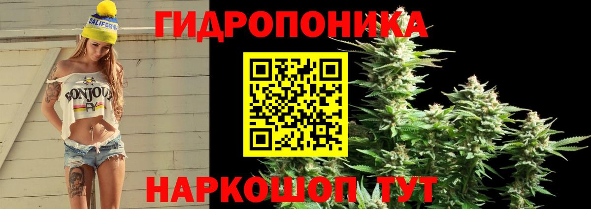 Бошки Шишки ГИДРОПОН Знаменск